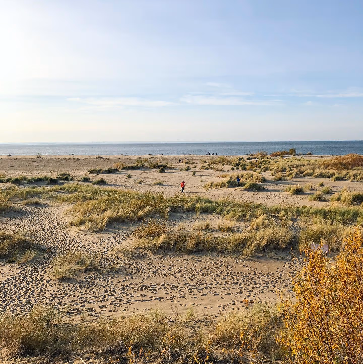 Piaszczysta plaża z trawami i kilkoma ludźmi w oddali przy spokojnym morzu pod jasnoniebieskim niebem.