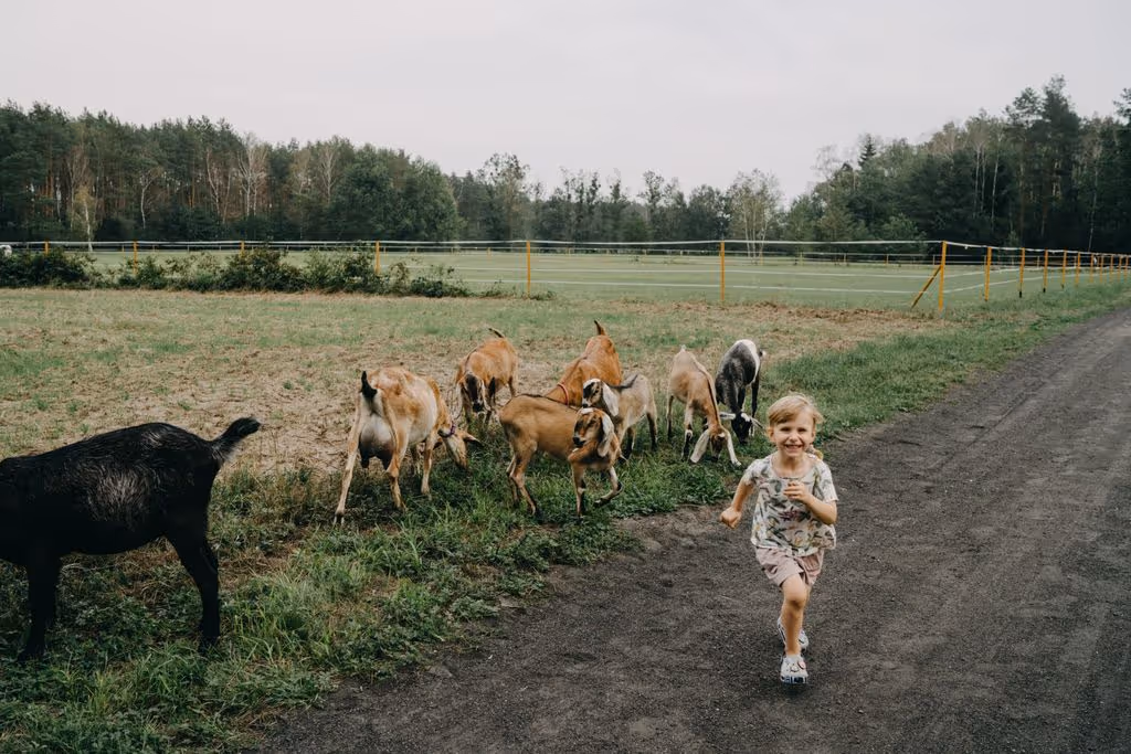 7 best farm stays with animals in Poland