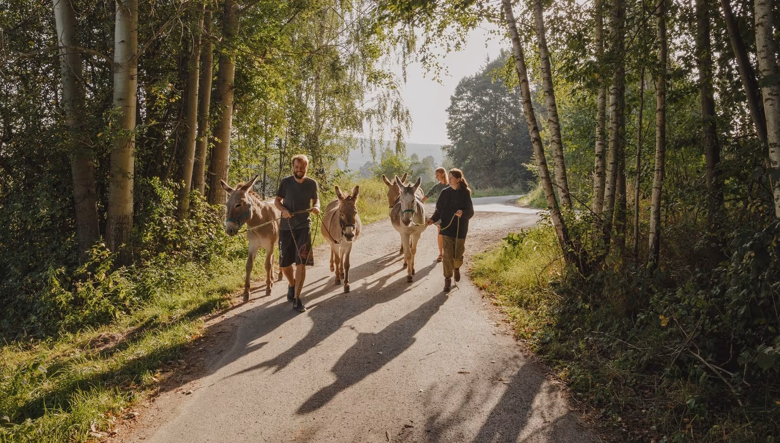 7 Eco-Friendly Stays in Poland