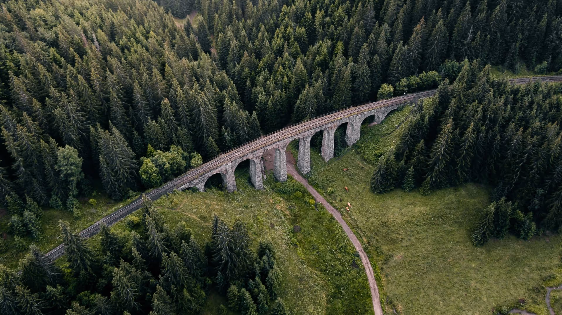 Slovakia for the Hesitant – a Fresh Take