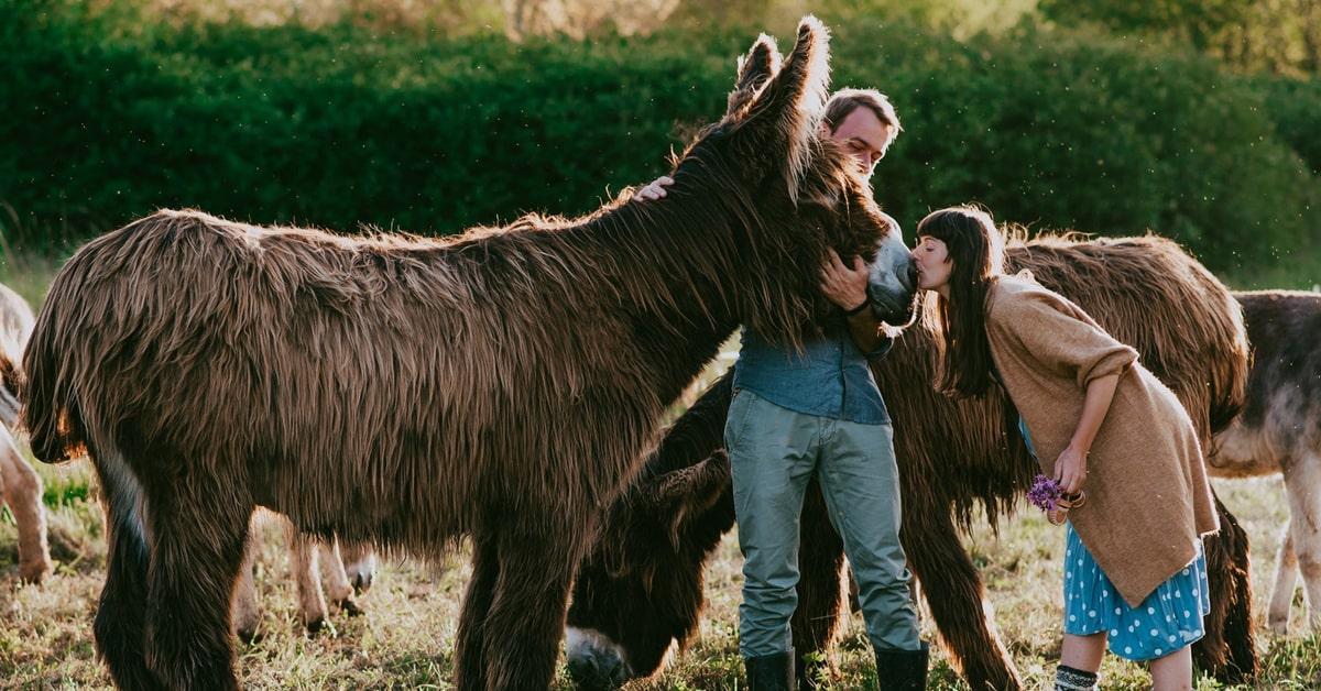 10 miejsc dla miłośników zwierząt