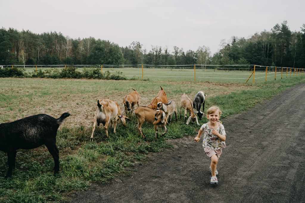 7 best farm stays with animals in Poland