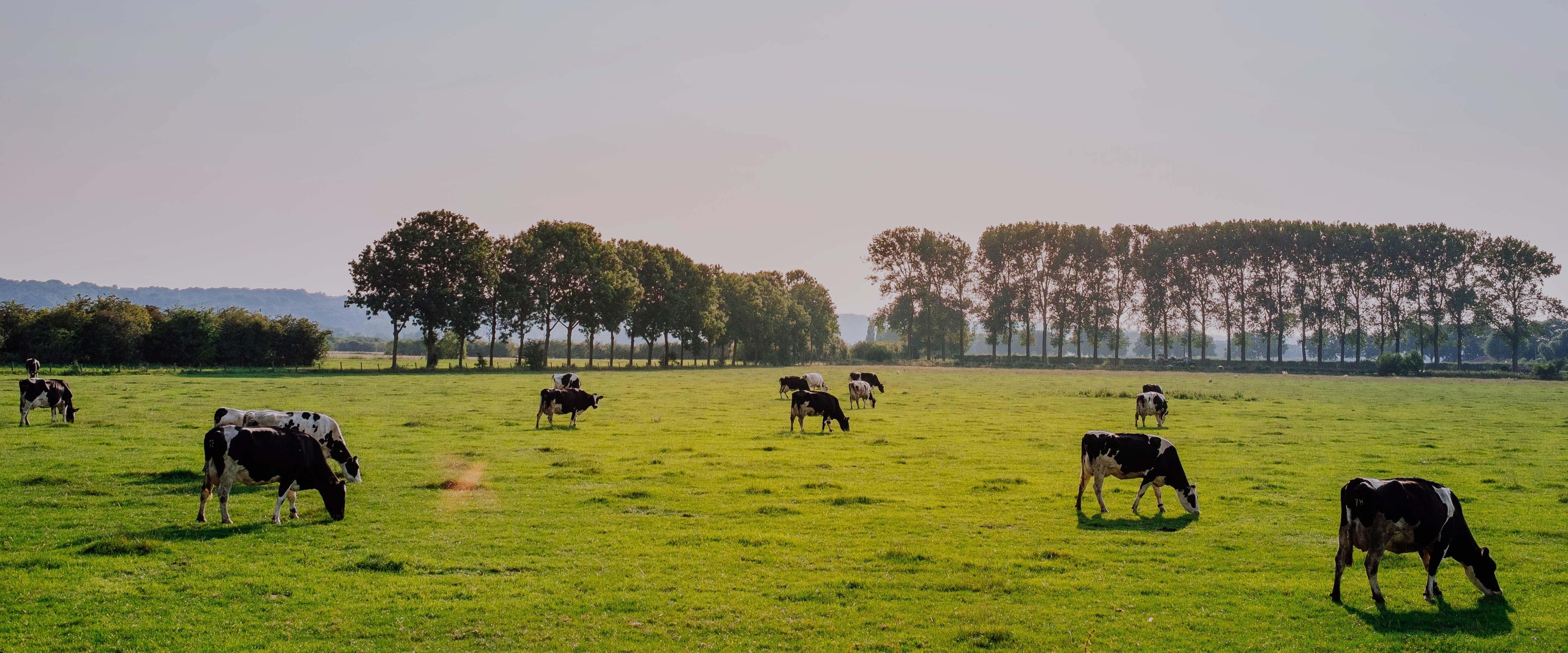 10 niesamowitych agroturystyk dla dzieci