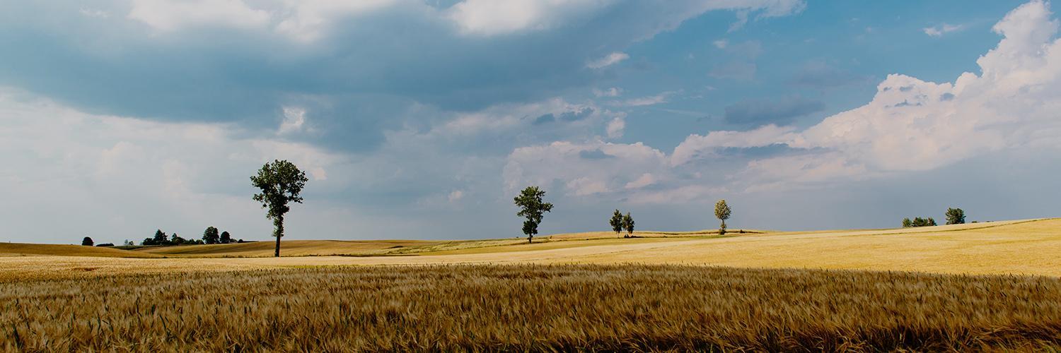 W Świętokrzyskie Góry i okolice Jury
