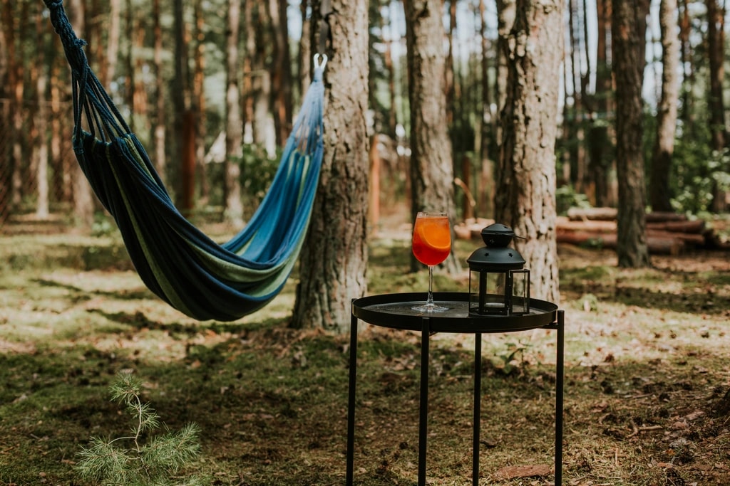 Zdjęcie obiektu Ucieknijcie z psem na weekend do lasu