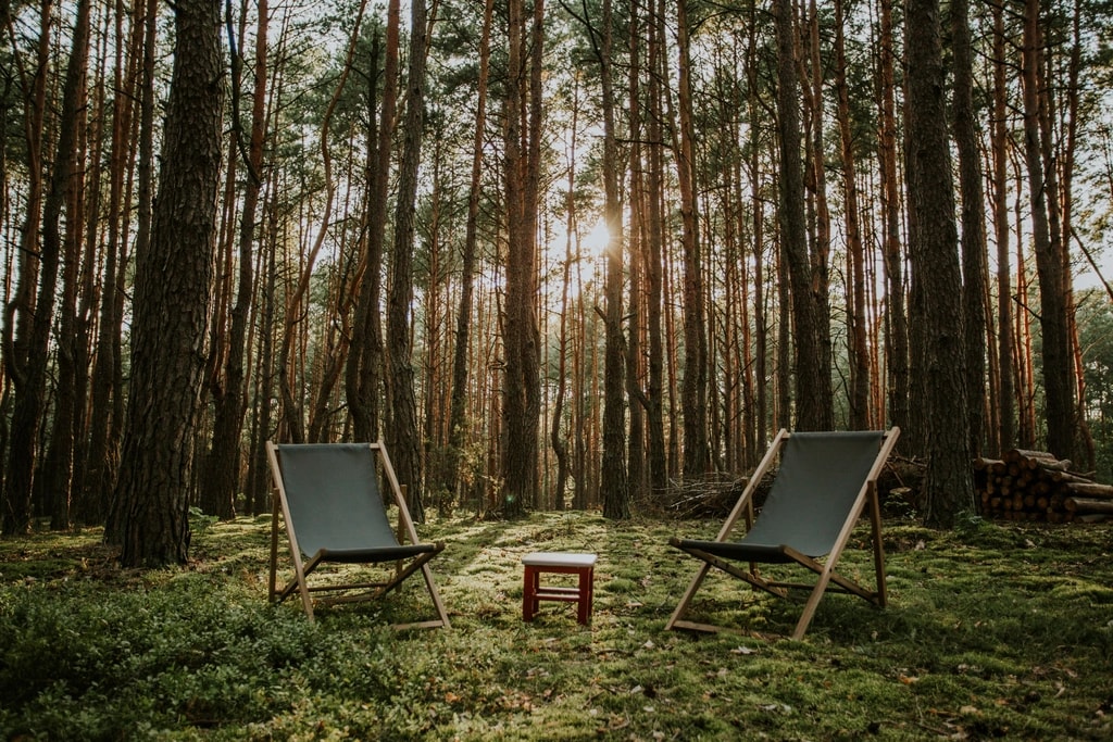 Zdjęcie obiektu Ucieknijcie z psem na weekend do lasu