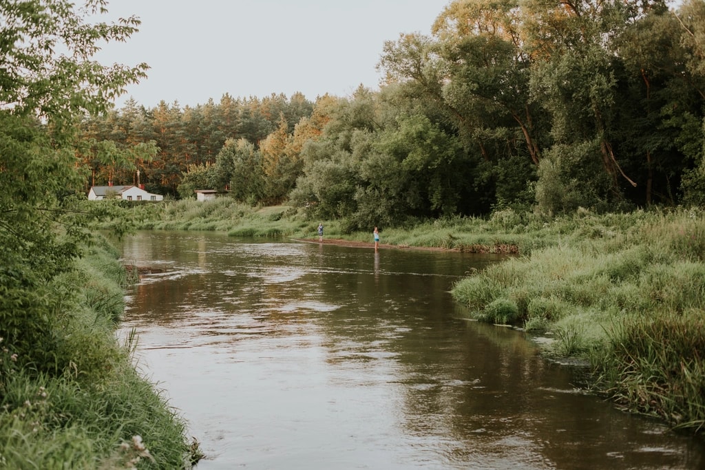 Zdjęcie obiektu Ucieknijcie z psem na weekend do lasu