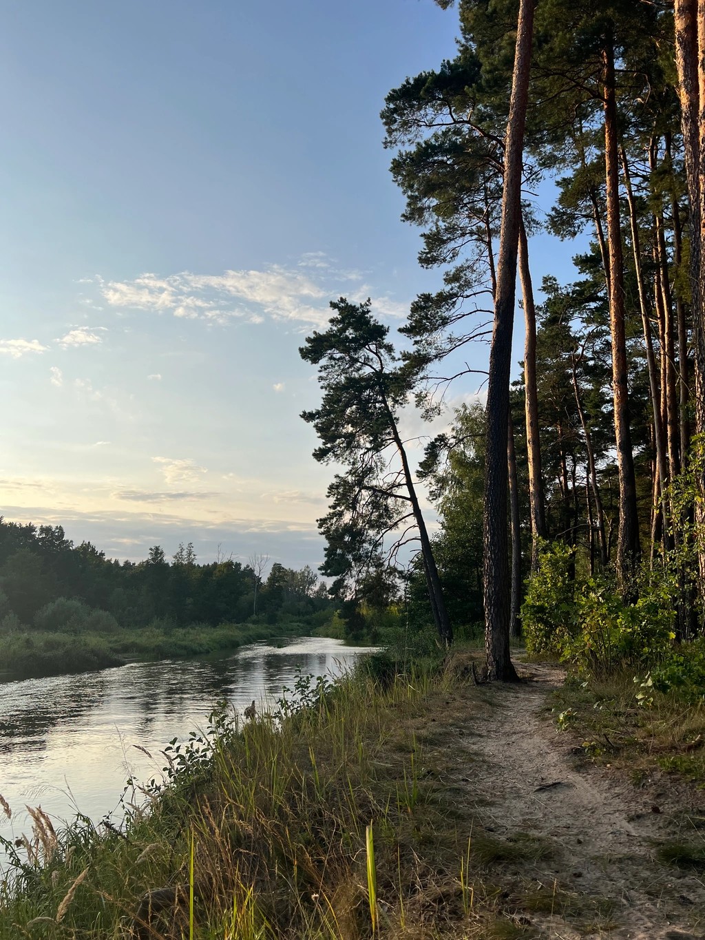Zdjęcie obiektuPora zabrać psa nad rzekę